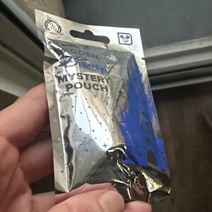 Authentic Disney 2025 Mystery Pouch - Wave A